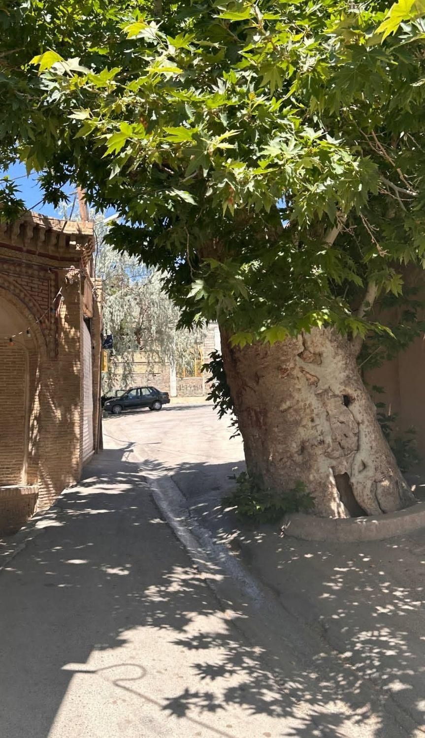 سرمایه گذار میخوام|خدمات مالی، حسابداری، بیمه|گرگان, |دیوار