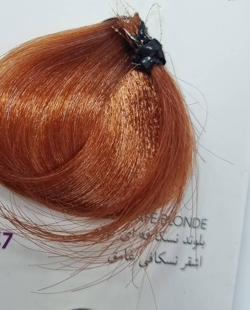 دوره های تخصصی رنگ و لایت|خدمات آموزشی|اصفهان, وحید|دیوار