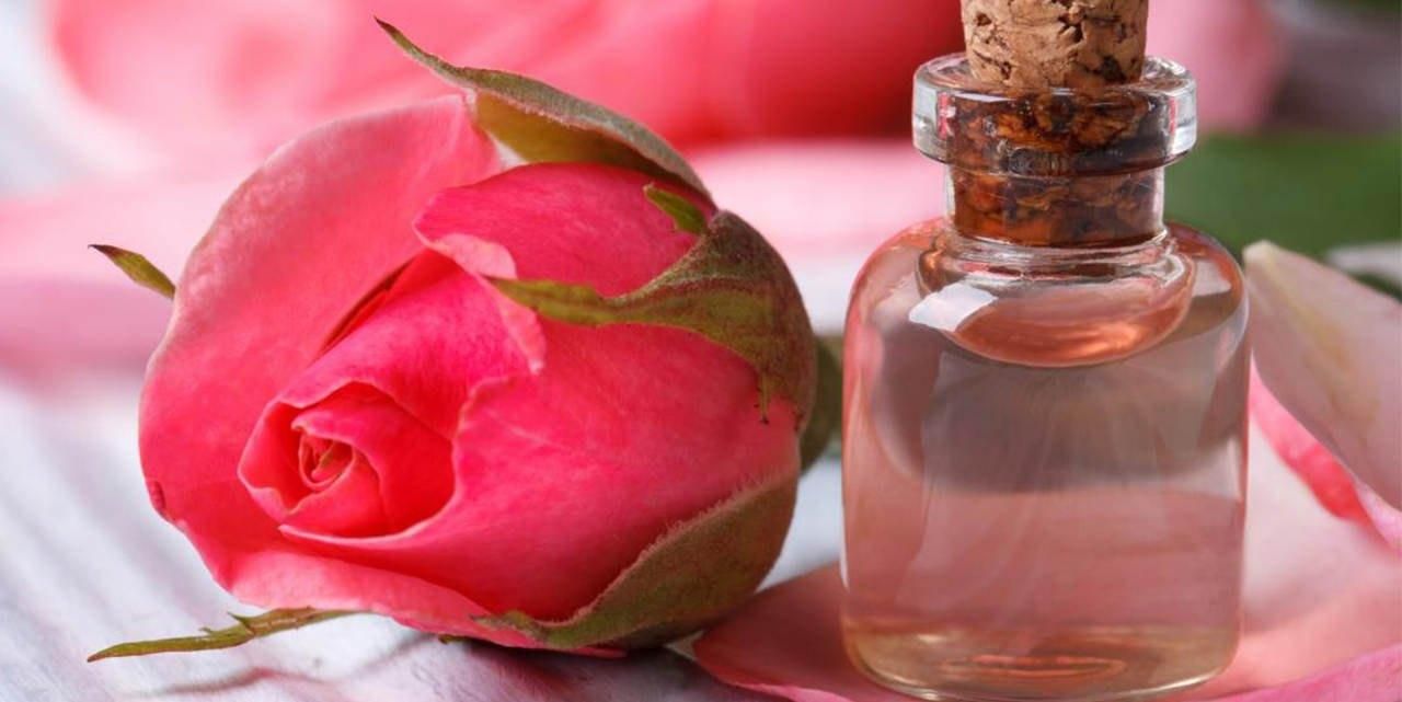 تور گلابگیری کاشان|تور و چارتر|یزد, |دیوار