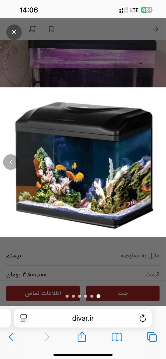 آکواریوم|ماهی|تهران, حکیمیه|دیوار