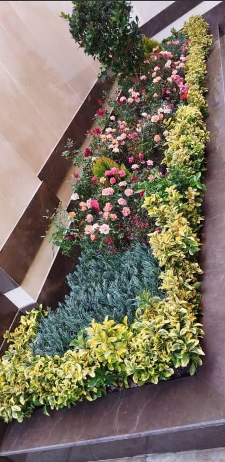 خدمات باغچه کاری و فضای سبز در محل|خدمات باغبانی و درختکاری|اصفهان, کارلادان|دیوار