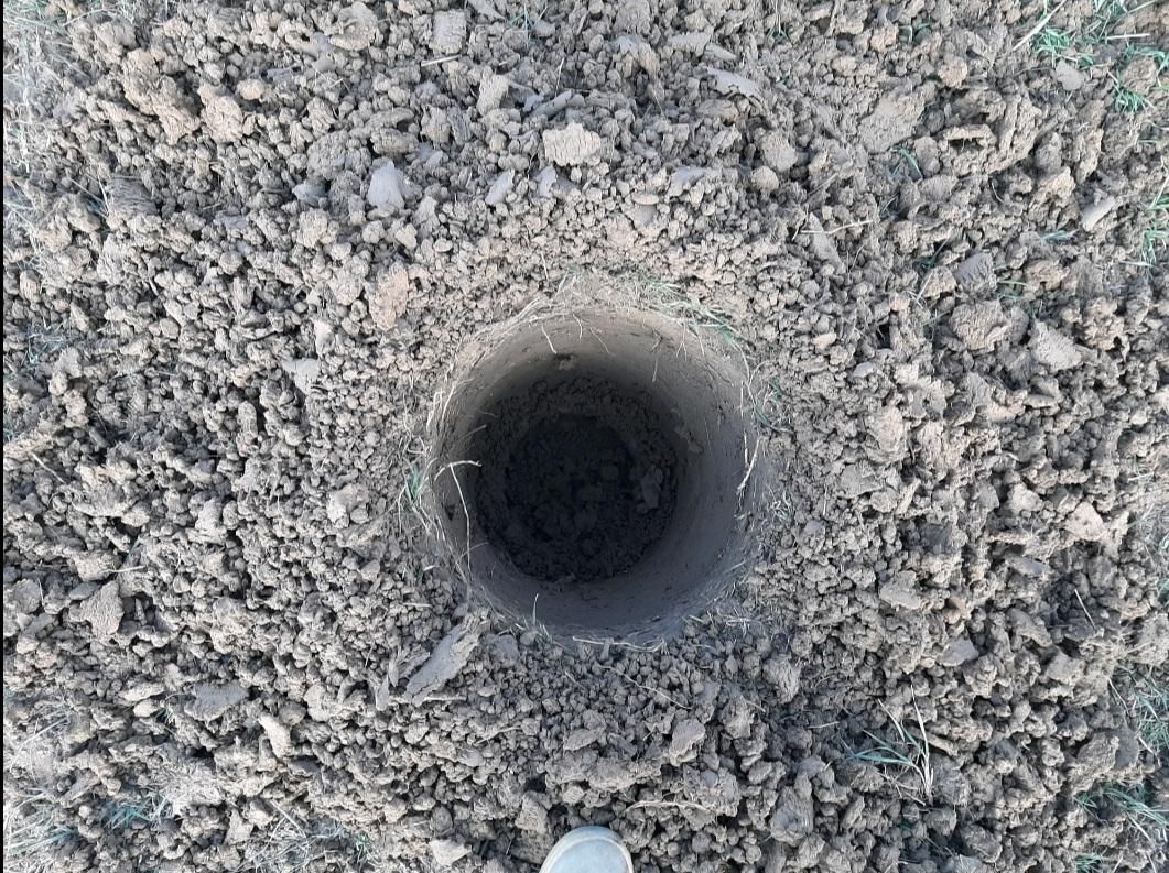 چاله فنس|خدمات باغبانی و درختکاری|الشتر, |دیوار