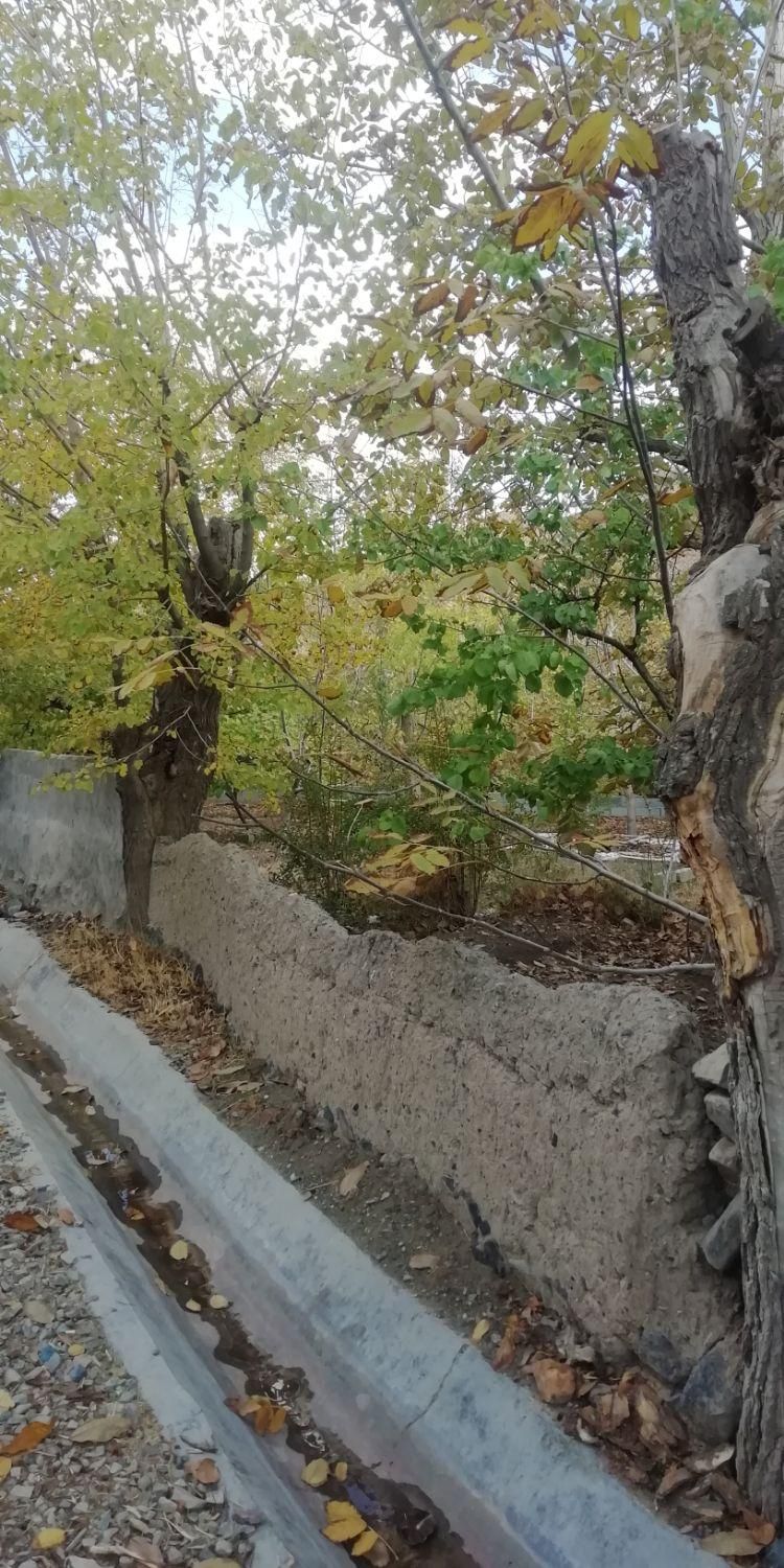 تصویر 2