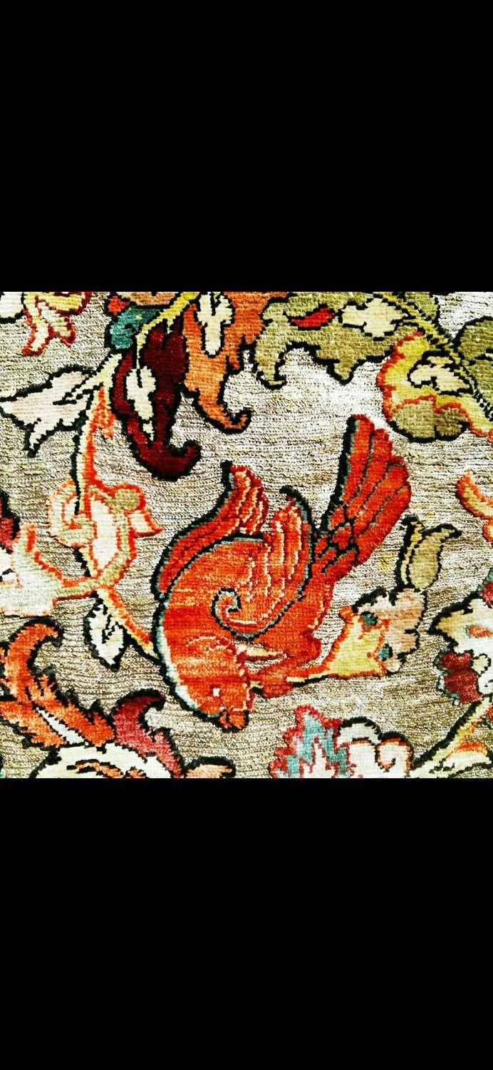 قالیشویی پاتریس|خدمات نظافت|اراک, |دیوار