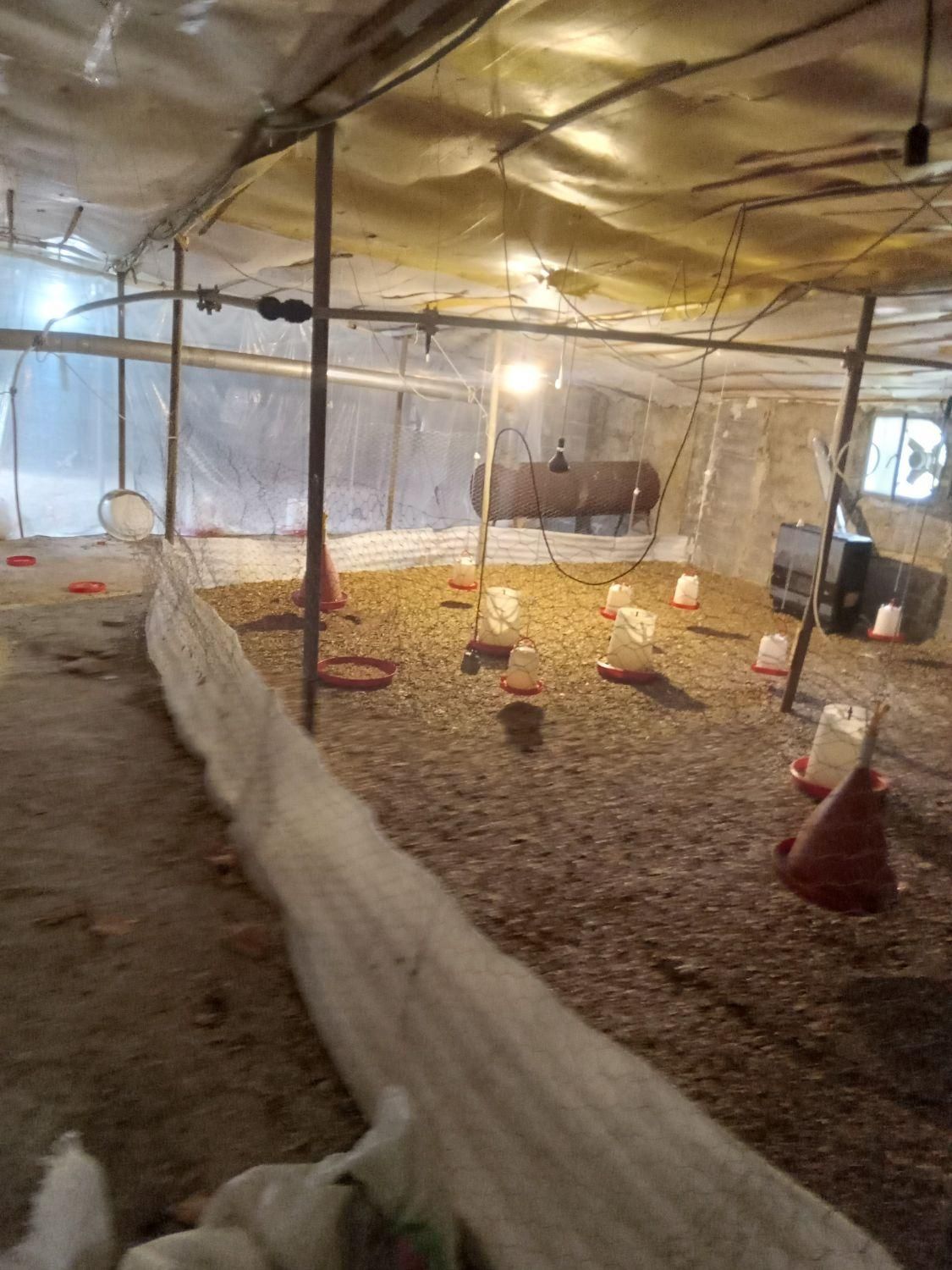 مرغداری اجاره|اجارهٔ دفتر صنعتی، کشاورزی، تجاری|لاهیجان, آهندان|دیوار