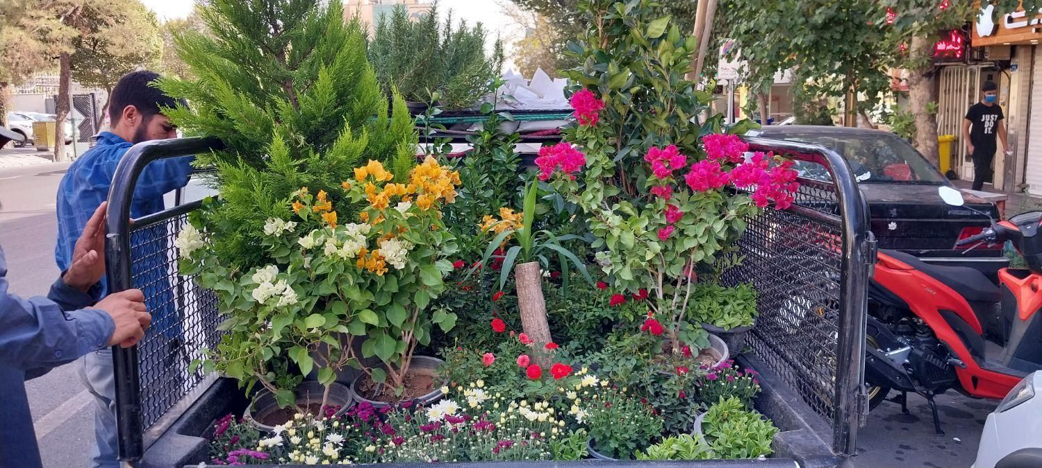 خدمات حرفه‌ای باغبانی و گل‌ در سراسر تهران|خدمات باغبانی و درختکاری|تهران, پاسداران|دیوار