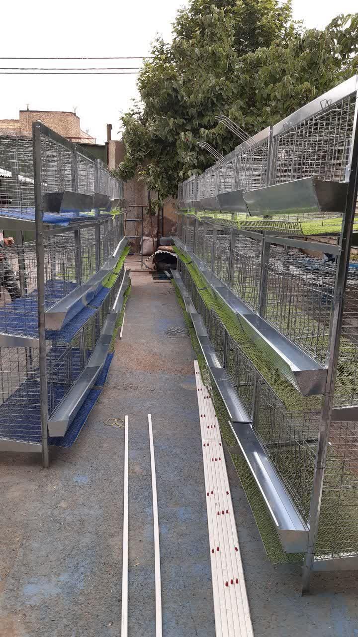 انواع قفس مرغ و بلدرچین|حراج|رامسر, |دیوار