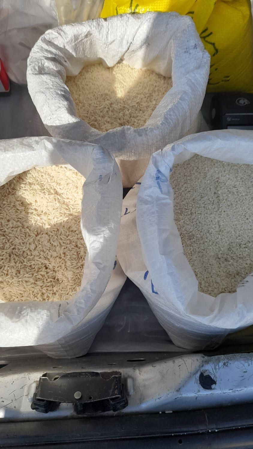 لاشه ها-شمی|خوردنی و آشامیدنی|پرند, فاز ۰|دیوار