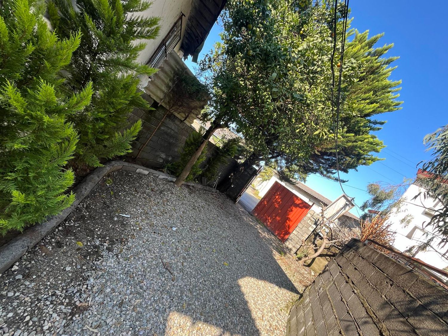 ویلا دربست لب دریا(ماهیانه هم اجاره میدم)|اجارهٔ کوتاهمدت ویلا و باغ|چالوس, |دیوار