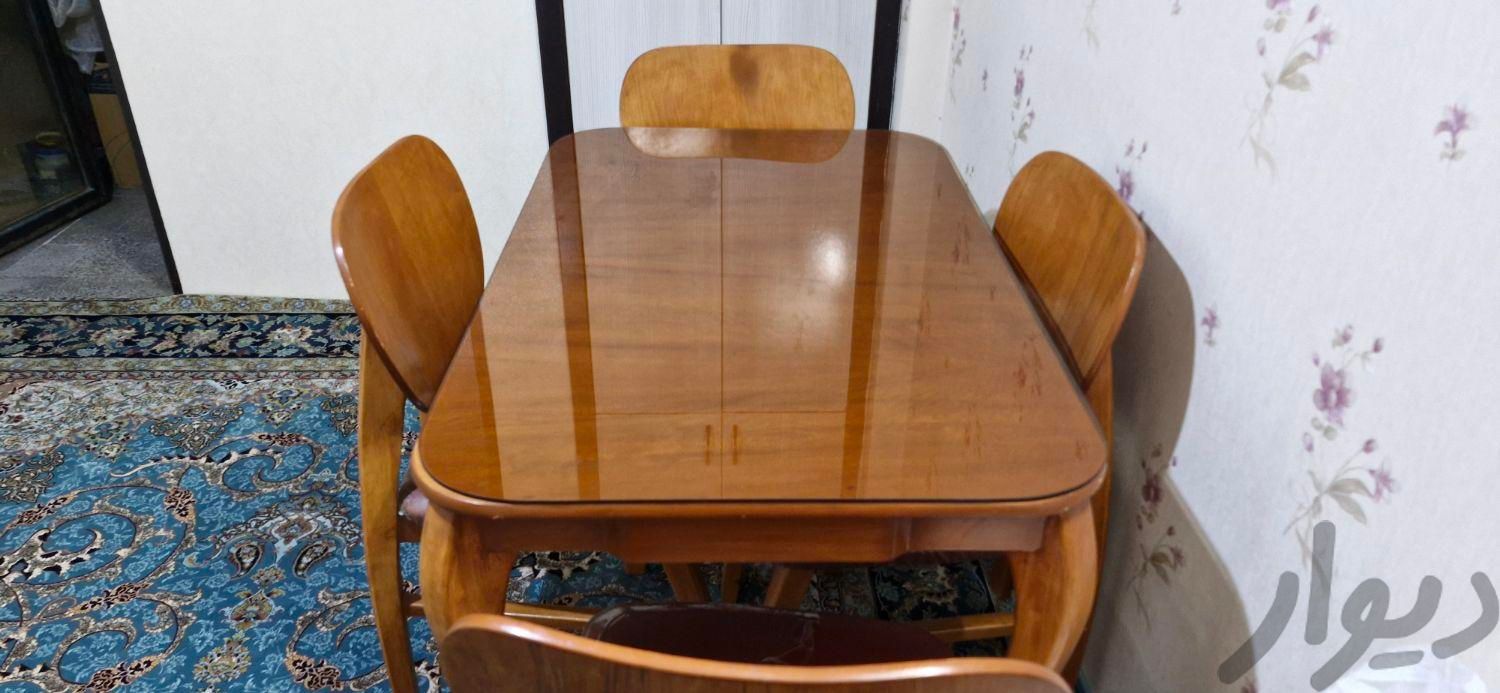 نهار خوری 4نفره مدل فیل گوشی در حد خیلی نو|میز و صندلی غذاخوری|مشهد, محله طلاب|دیوار