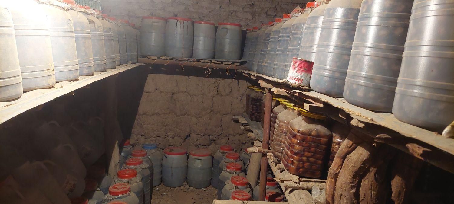 سیر ترشی|خوردنی و آشامیدنی|مشهد, سلام|دیوار