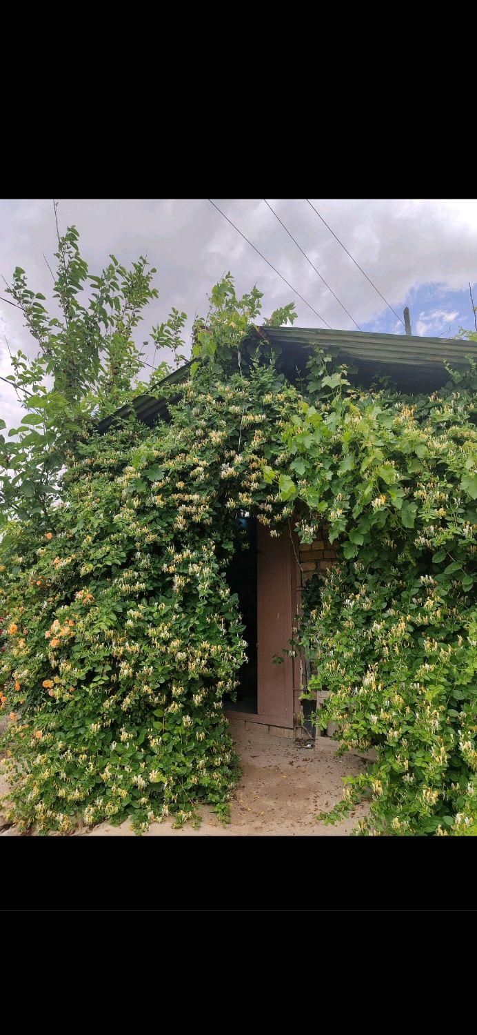 باغ ویلا عموداراب|اجارهٔ کوتاهمدت ویلا و باغ|خرمآباد, |دیوار