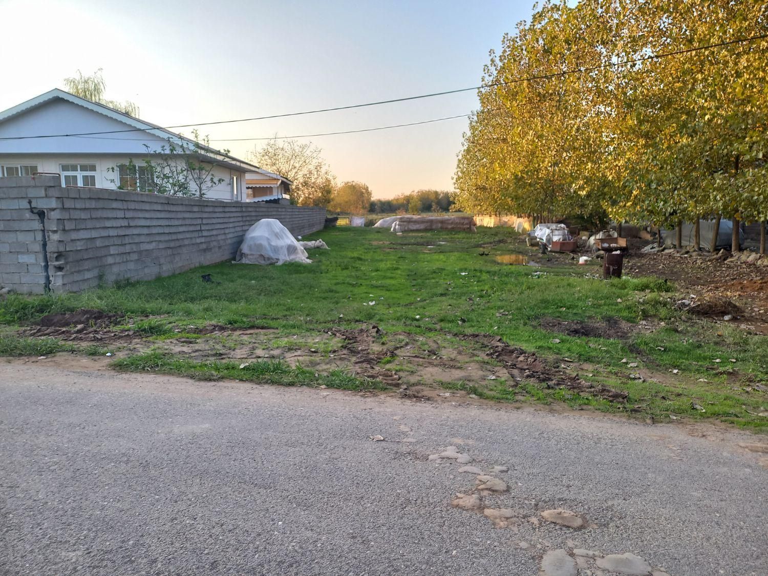 مسکونی ۵۰۰ متری بر آسفالت محدوده لشت نشا|فروش زمین و ملک کلنگی|لشت نشا, |دیوار