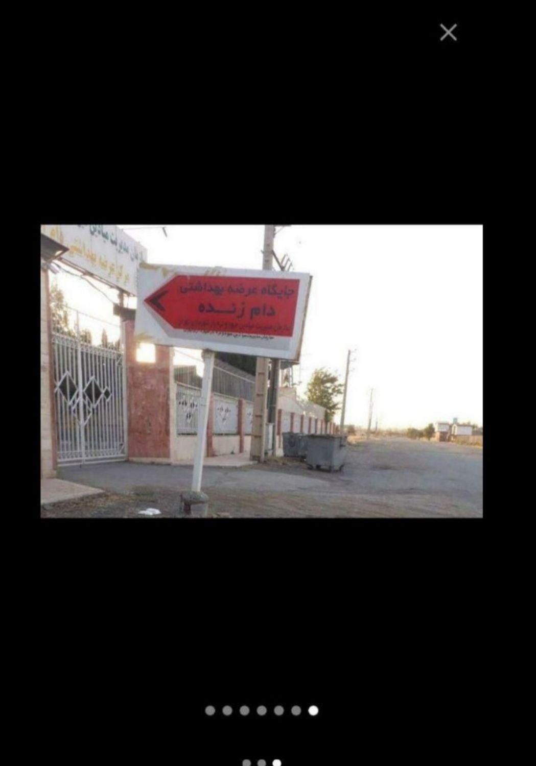 گوسفند زنده شبانه روزی سرتاسر تهران در اسراع وقت|حیوانات مزرعه|تهران, نیروی هوایی (پیروزی)|دیوار