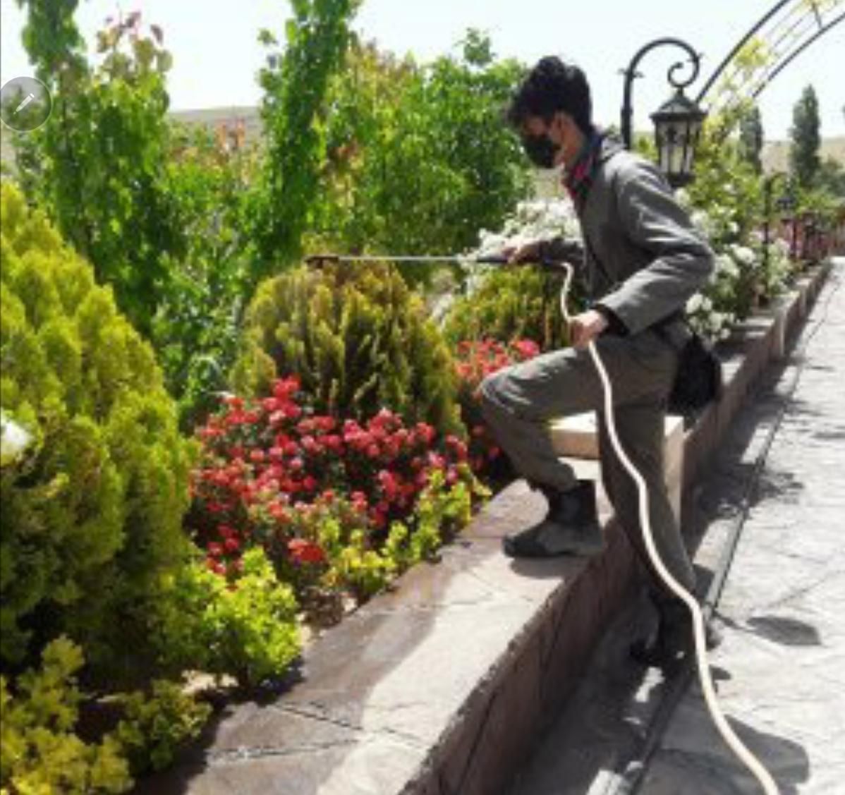 باغبانی ،هرس،درختان رودهن،مهراباد،دماوند|خدمات باغبانی و درختکاری|پردیس, |دیوار