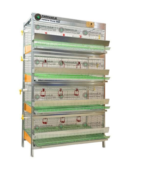 از کارخانه* قفس مرغ قفس کبک قفس بلدرچین قفس جوجه|لوازم جانبی حیوانات|کرمان, |دیوار