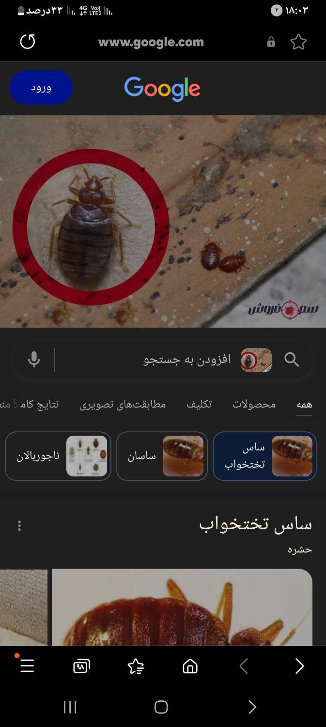 سمپاشی سم پاشی ساس سوسک نانو 100%تضمینی ککمورچه|خدمات نظافت|گرگان, |دیوار