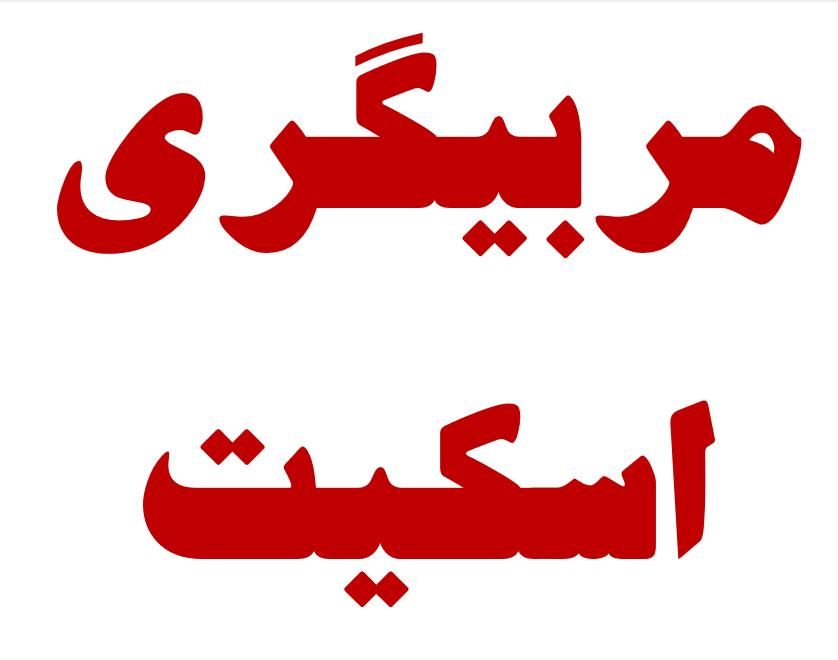 آموزش رایگان مربی گری اسکیت|خدمات آموزشی|شیراز, بعثت|دیوار