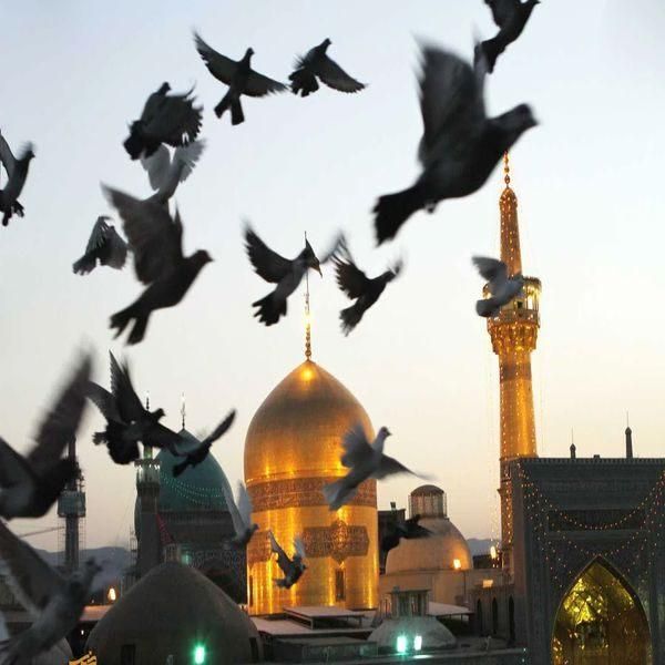 تور مشهد ریلی همه روزه/ هوایی اقساطی|تور و چارتر|تهران, فلسطین (میدان انقلاب)|دیوار