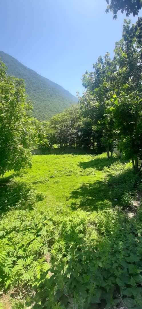 2000متر زمین مسکونی با پروانه خمام به خشکبیجار|فروش زمین و ملک کلنگی|رشت, هلال احمر|دیوار