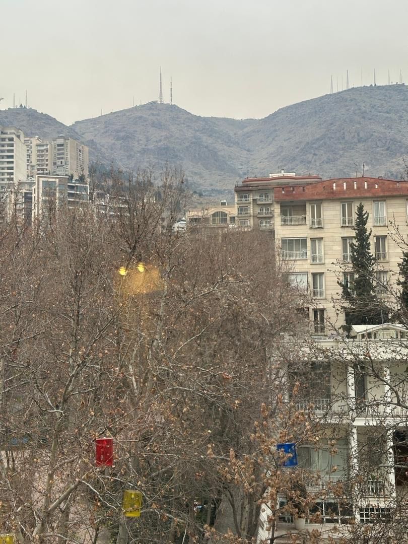 ۲۹۰ متر گلستان شمالی ۳ خواب برج باغ|فروش آپارتمان|تهران, اقدسیه|دیوار