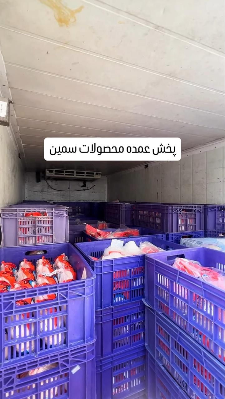پخش عمده مرغ تازه بسته بندی، فله (تناژ)، مرغ منجمد|عمده‌فروشی|تهران, تهرانپارس شرقی|دیوار