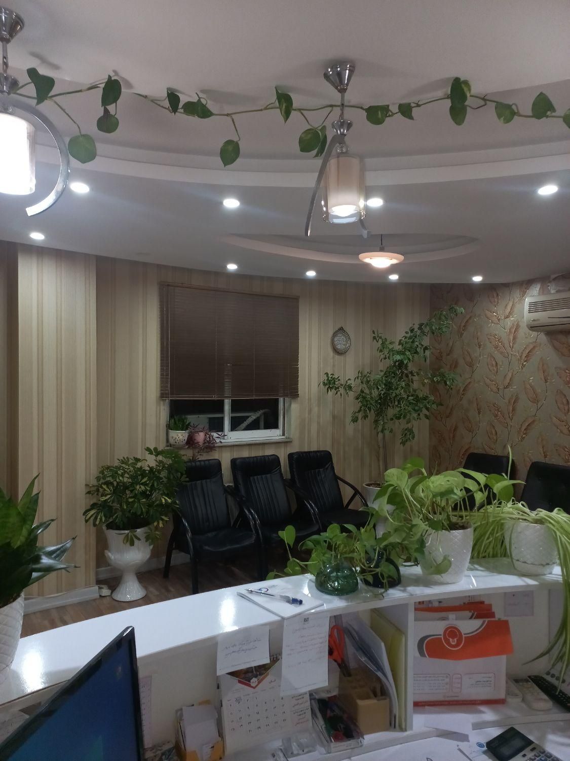 واحد / تجاری / ۶۵متری /  گاز|اجارهٔ دفتر کار، اتاق اداری، مطب|رشت, نظری|دیوار