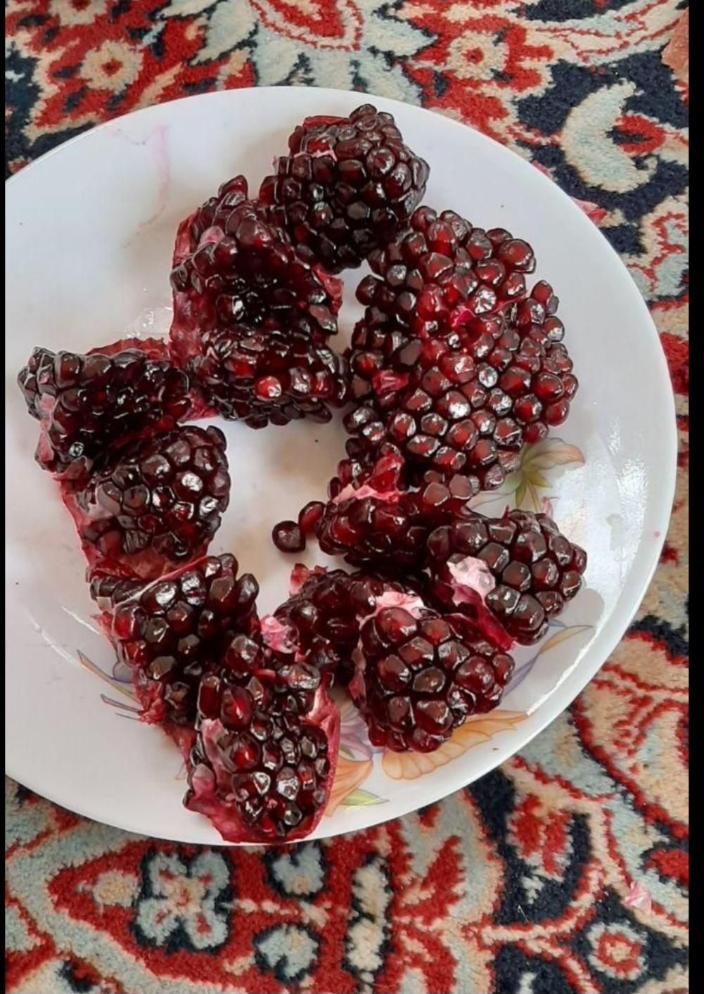 نهال انار دانه سیاه اصل|خدمات باغبانی و درختکاری|تهران, دریاچه شهدای خلیج فارس|دیوار
