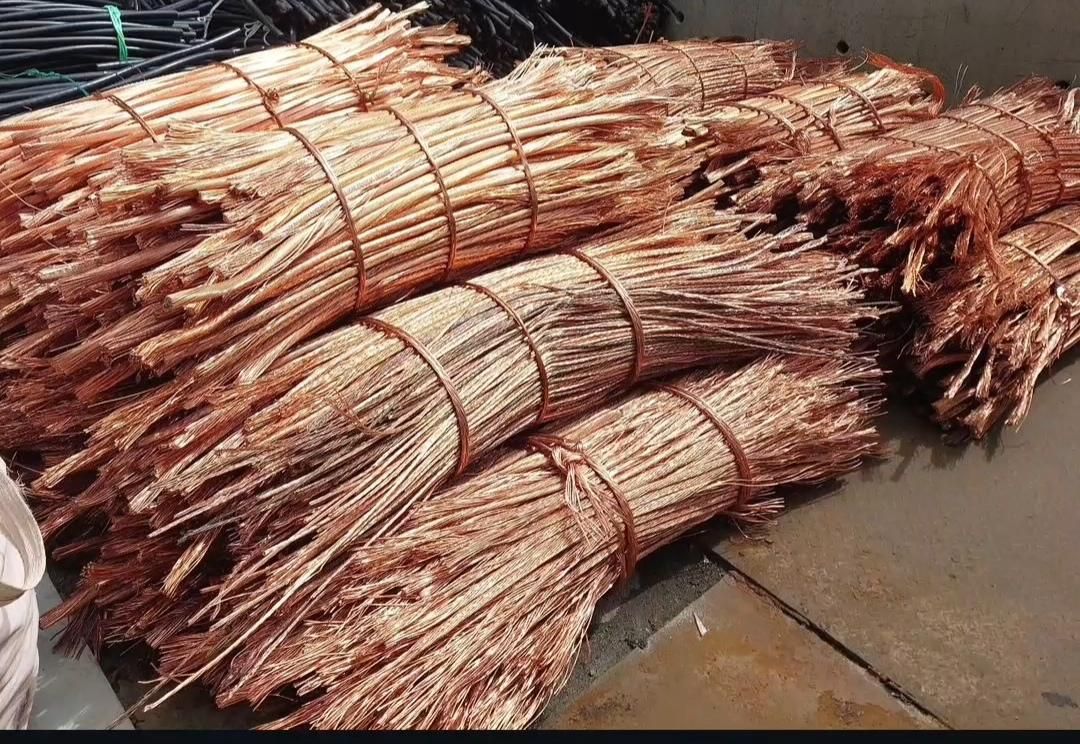 زردبرنج درب منزل شیراز صدرا گلستان قصردشت|عمده‌فروشی|شیراز, ده پیاله|دیوار
