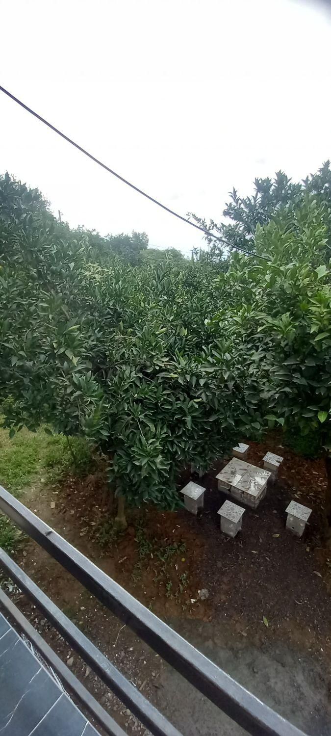 کلبه دنج برای سخت پسندها|اجارهٔ کوتاهمدت ویلا و باغ|تنکابن, |دیوار