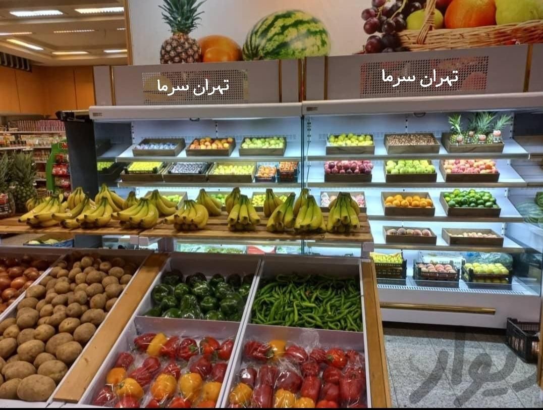یخچال ویترینی گل،میوه فروشی قصابی لبنیات هایپر|فروشگاه و مغازه|مشهد, فدک|دیوار