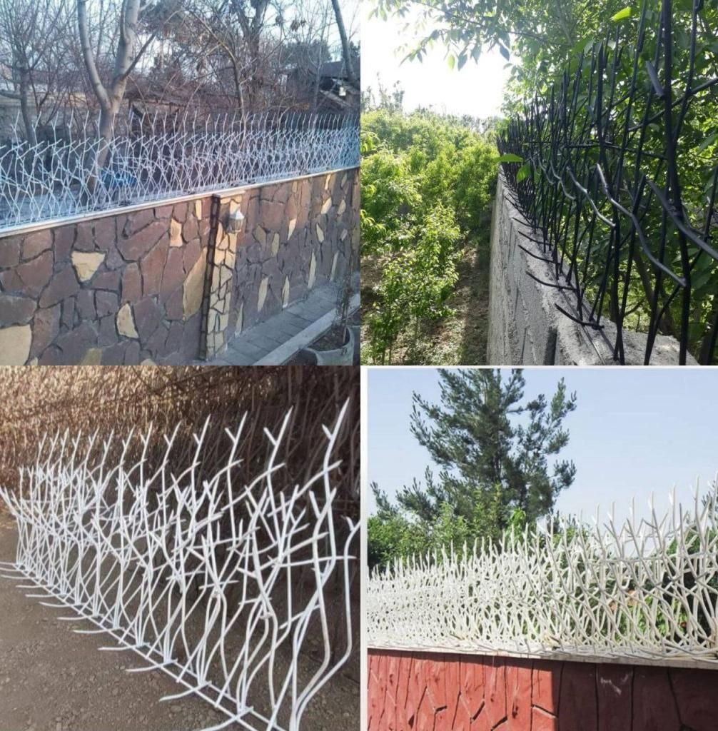 حفاظ روی دیوار بوته خاری شاخ گوزنی آکاردئونی پنجره|خدمات پیشه و مهارت|مشهد, شهرک رازی (شهرک غرب)|دیوار