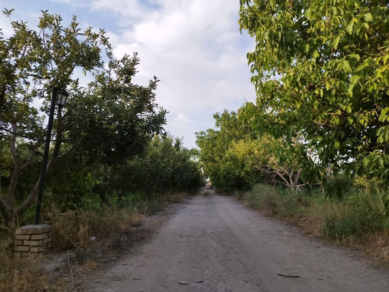 زمین باغ ویلا ۵۰۰مترسند آب برق گاز گل مکان گلستان|فروش زمین و ملک کلنگی|مشهد, وکیل‌آباد|دیوار