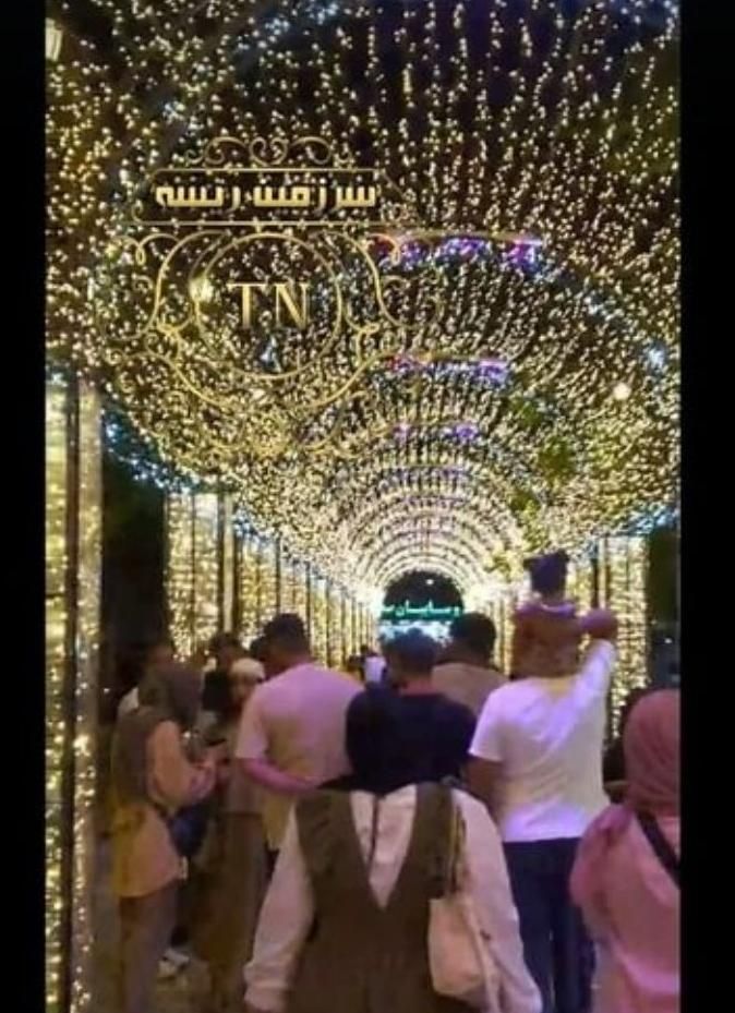 منبع ریسه هلدر ریسه سوزنی توری قندیلی|ریسه و چراغ تزئینی|شیراز, فخرآباد (دروازه کازرون)|دیوار