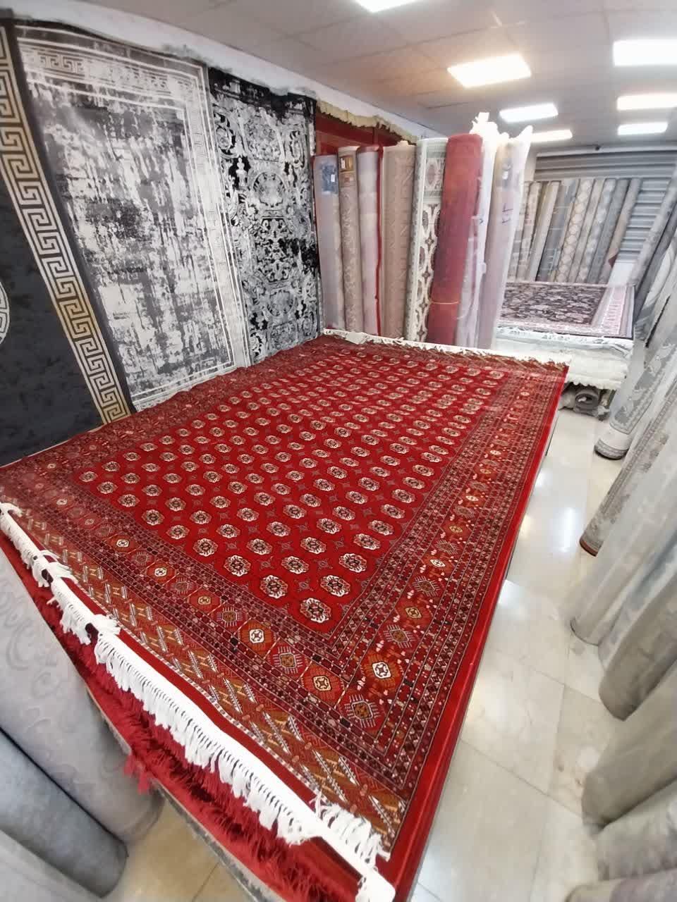 فرش سنتی بلوچی ۷۰۰ شانه اصل نگارین ایرونی|فرش|مشهد, امیر|دیوار