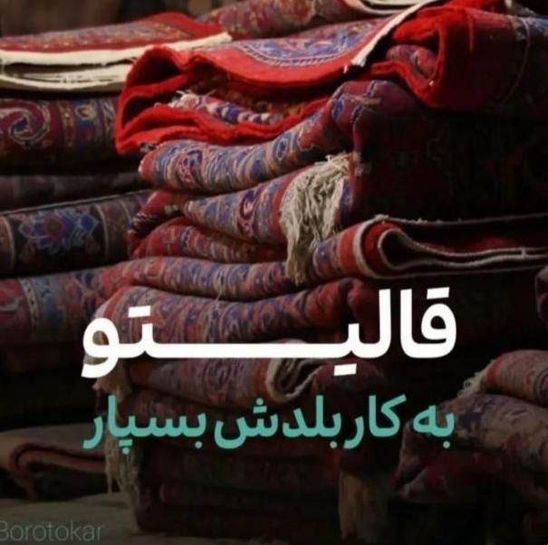مجموعه بزرگ قالیشویی مبل شویی ورفوگری (خراسان)|خدمات نظافت|بیرجند, |دیوار