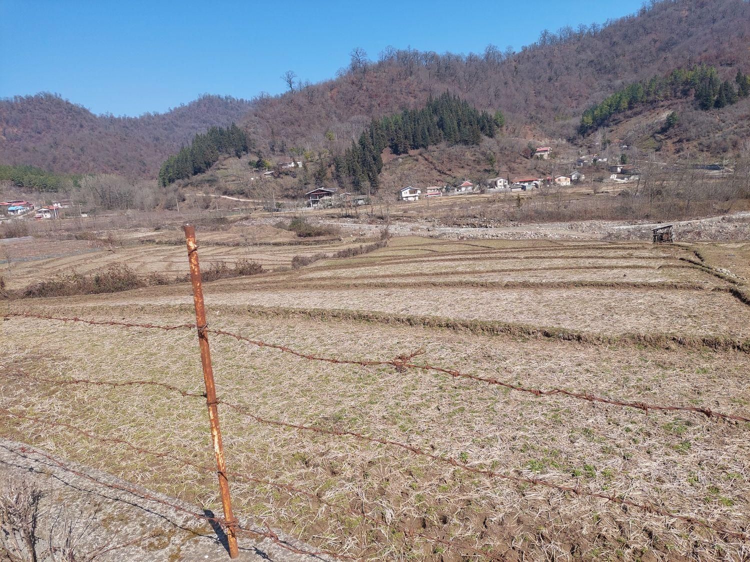 فروش زمین شالیزار ۶۰۰۰ متری|فروش زمین و ملک کلنگی|لیسار, |دیوار