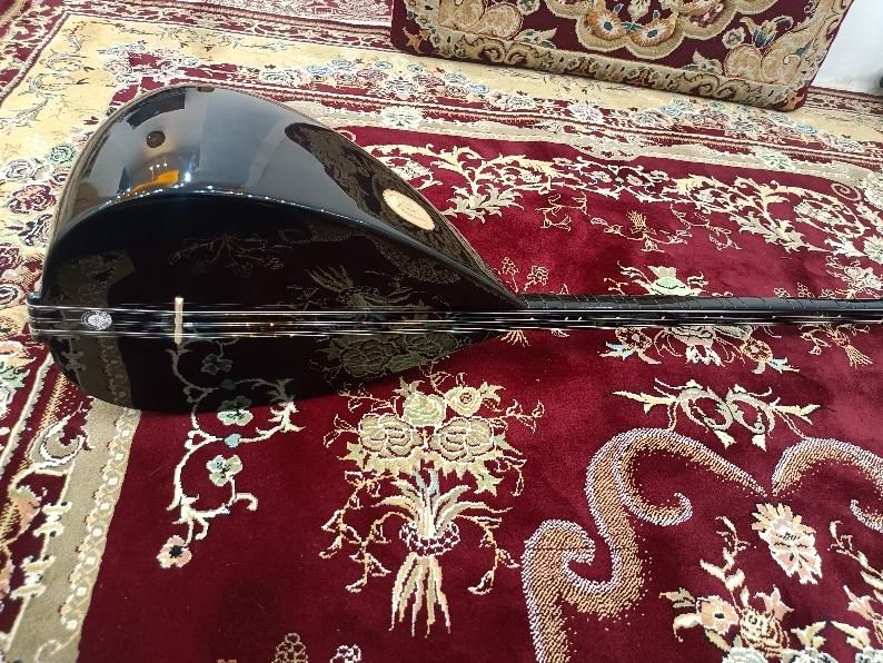 ساز دیوان (دسته بلند)|سازهای سنتی|سنندج, |دیوار