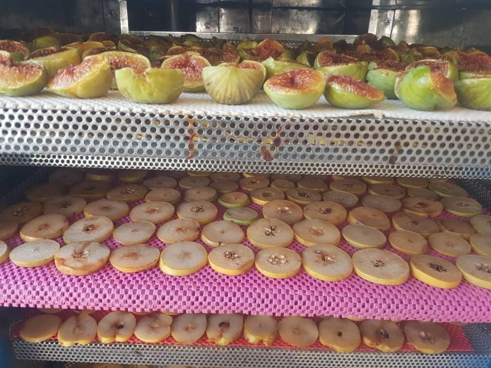 دستگاه خشک کن سبزی گوشت میوه گازسوز|ماشین‌آلات صنعتی|قم, آذر (نکویی)|دیوار