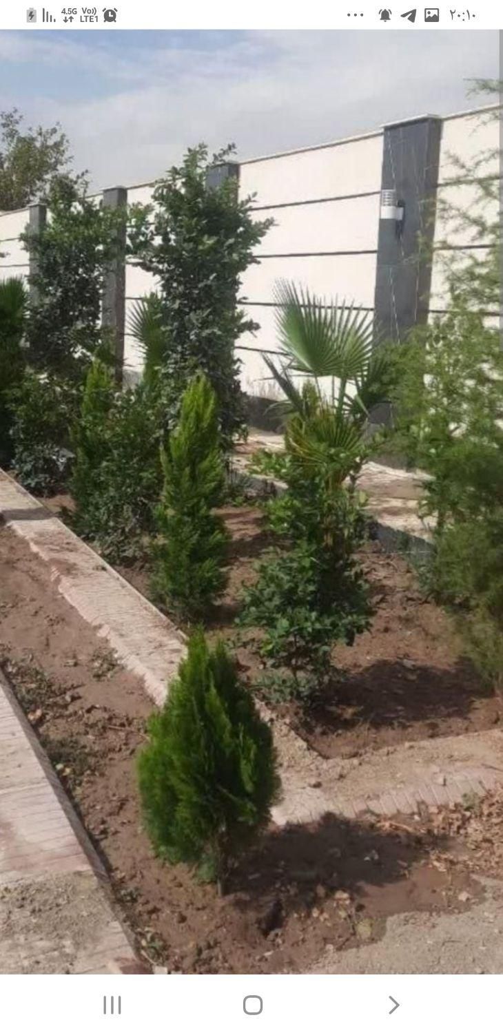 خدمات باغچه کاری و فضای سبز در محل|خدمات باغبانی و درختکاری|اصفهان, کارلادان|دیوار