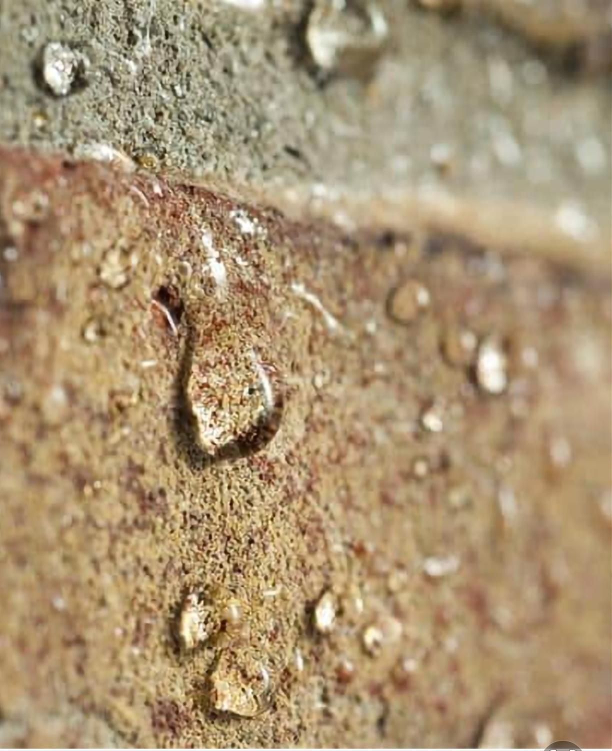 عایق سیلیکونی نما (نانو نامرئی)|مصالح و تجهیزات ساختمان|شیراز, سینما سعدی|دیوار