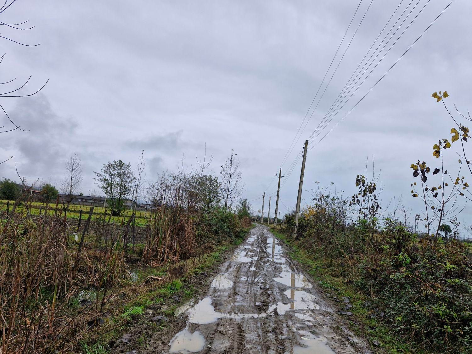 زمین۸۰۰۰متر مناسب برای کاشت کیوی تالش چلونصر|فروش زمین و ملک کلنگی|تالش, هشتپر|دیوار