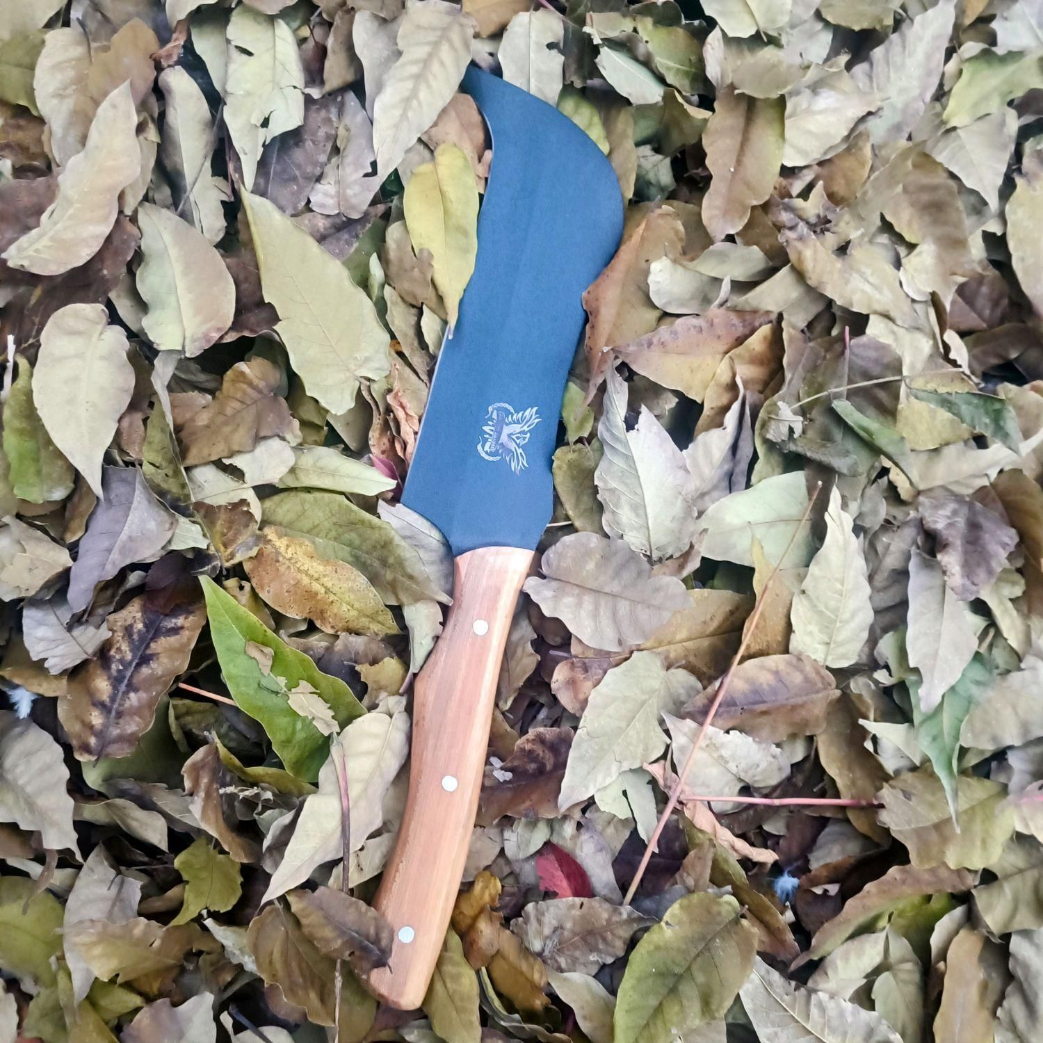 داس جنگل نوردی و باغبانی|کوهنوردی و کمپینگ|تهران, خواجه نصیر طوسی|دیوار