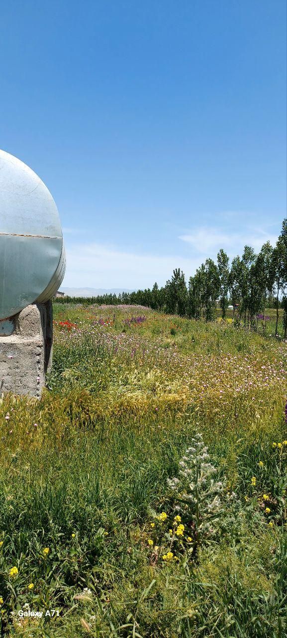 زمین دارای مجوزگلخانه گرجان|فروش زمین و ملک کلنگی|اردبیل, |دیوار