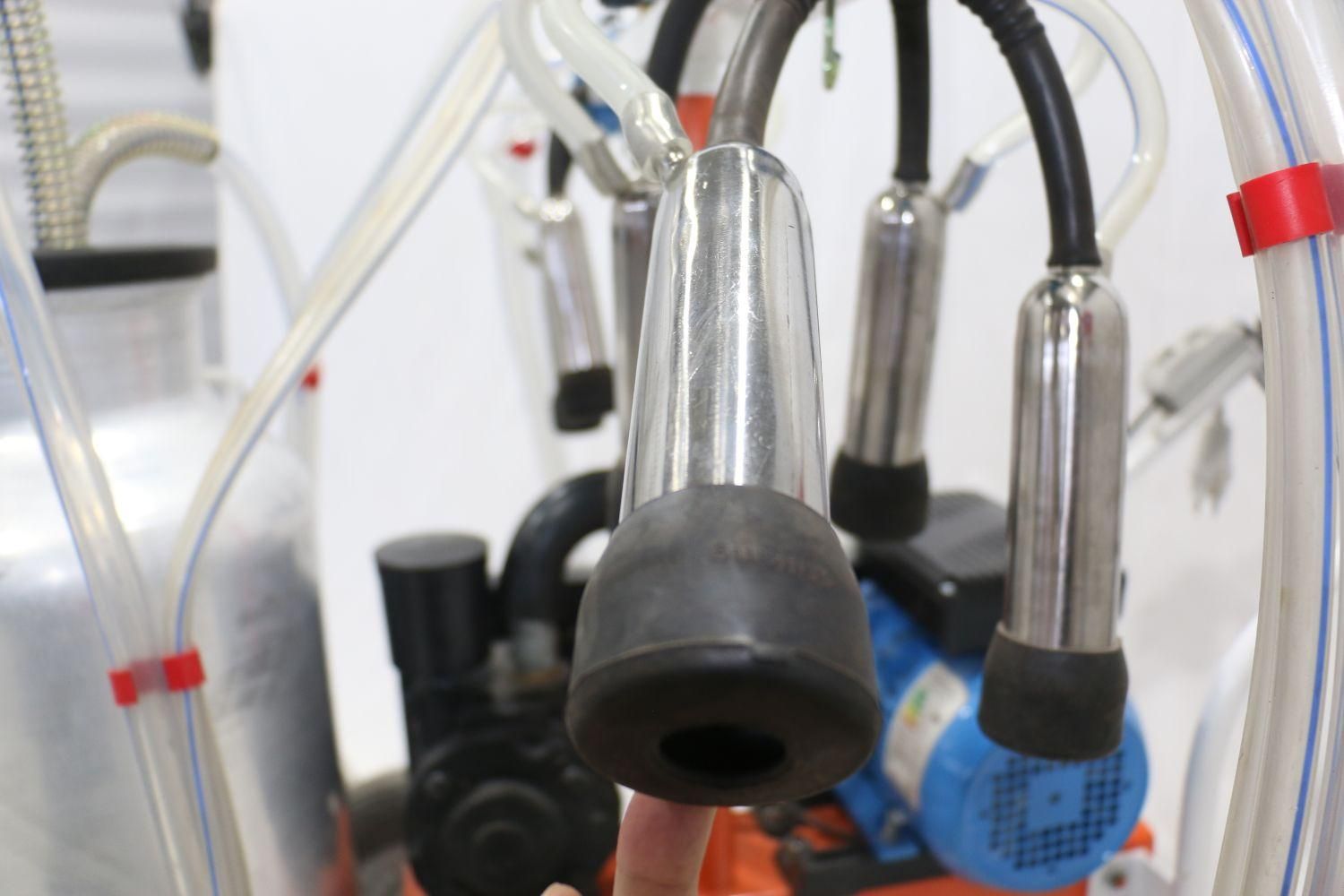 شیردوش شیر دوش گاو دوش گوسفند اتوماتیک|ماشینآلات صنعتی|مشهد, توس (بلوار توس)|دیوار