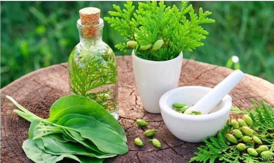 آموزش جامع طب سنتی اسلامی|خدمات آموزشی|اراک, |دیوار