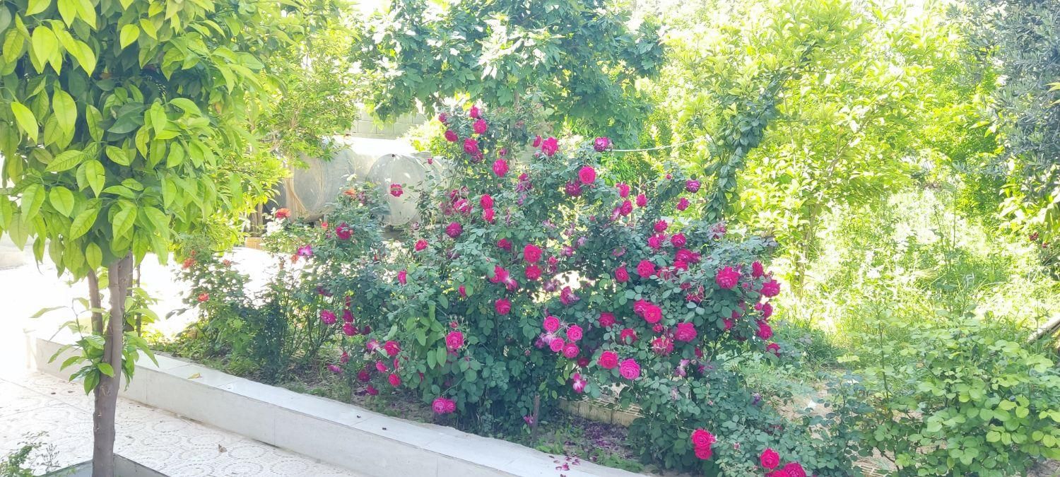 اجاره روزانه/هفتگی/ماهانه ویلا ۱۰۰۰ متری|اجارهٔ کوتاه‌مدت ویلا و باغ|ایذه, |دیوار