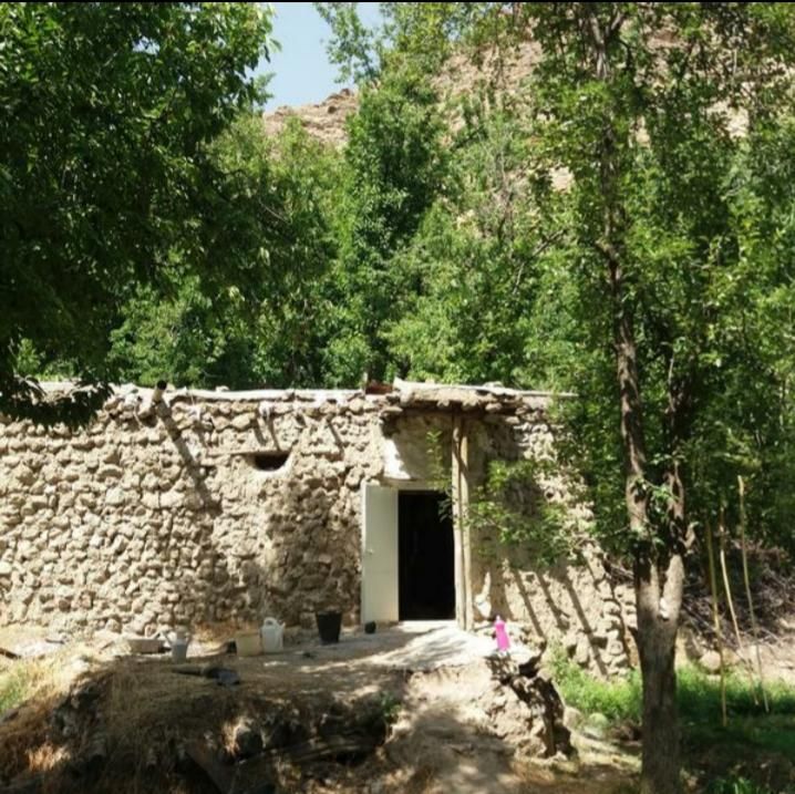 فروش باغ گیلاس روستای آل ۳۷۰۰ متر|فروش دفتر صنعتی، کشاورزی، تجاری|مشهد, خواجه ربیع|دیوار