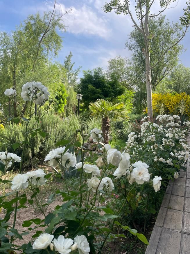 باغ تالار و کافه رستوران نگین|خدمات پذیرایی، مراسم|هشتگرد, باغشهر|دیوار