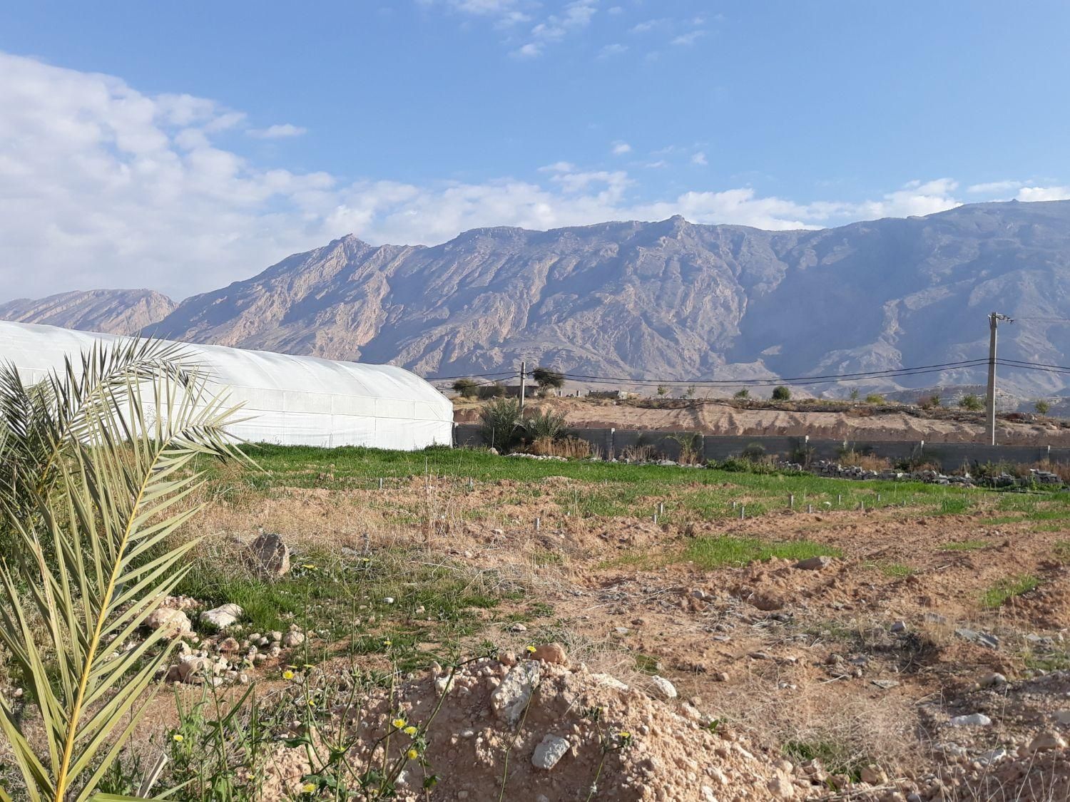 گلخانه سبزی و سیفی در بهبهان ۵۲۰۰متری|فروش دفتر صنعتی، کشاورزی، تجاری|اهواز, نادری|دیوار